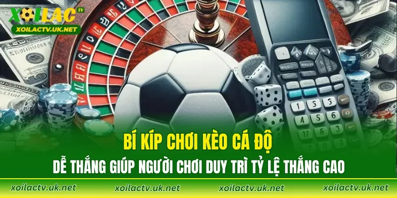 Bí kíp chơi kèo cá độ dễ thắng giúp người chơi duy trì tỷ lệ thắng cao