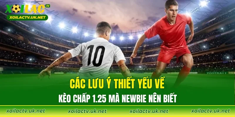Các lưu ý thiết yếu về kèo chấp 1.25 mà newbie nên biết