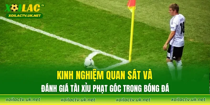 Kinh nghiệm quan sát và đánh giá tài xỉu phạt góc trong bóng đá
