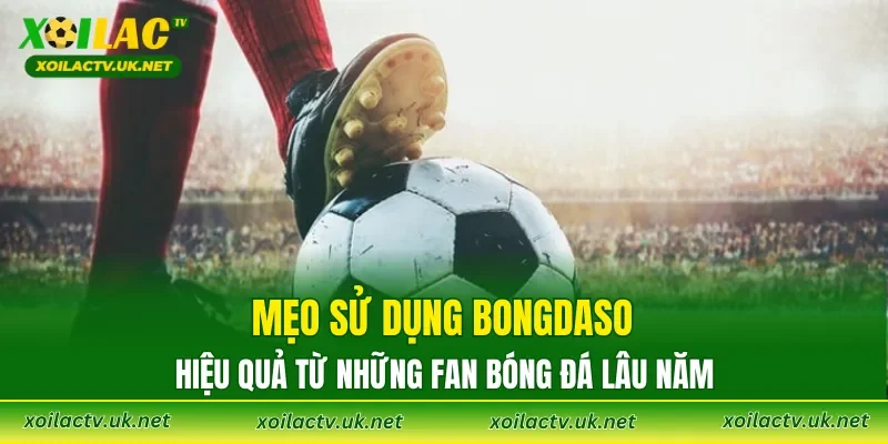Mẹo sử dụng Bongdaso hiệu quả từ những fan bóng đá lâu năm