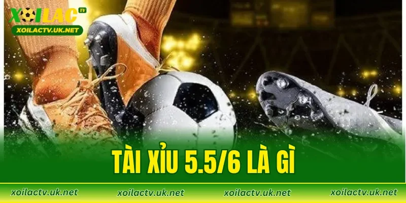 Tài Xỉu 5.5/6 Là Gì
