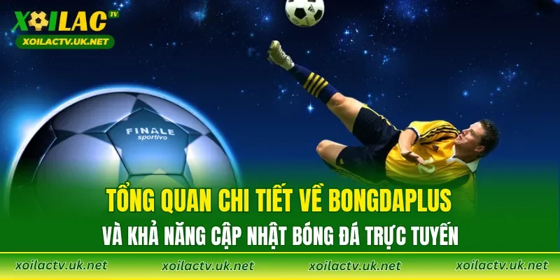 Tổng quan chi tiết về Bongdaplus và khả năng cập nhật bóng đá trực tuyến