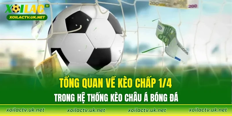 Tổng quan về kèo chấp 1/4 trong hệ thống kèo châu Á bóng đá